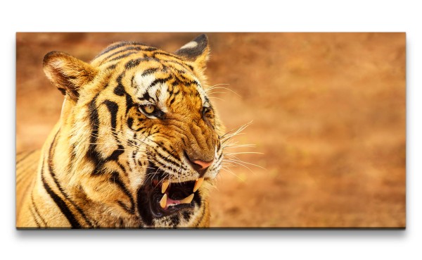Leinwandbild 120x60cm Wilder Tiger Raubkatze Dschungel Wildnis Indien Reißzähne