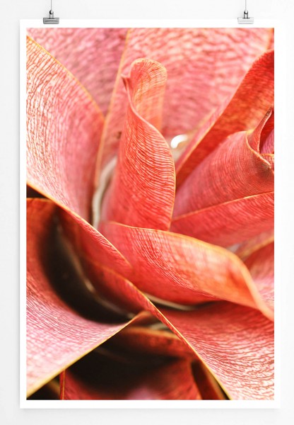 60x90cm Naturfotografie Poster Nahaufnahme einer roten Pflanze