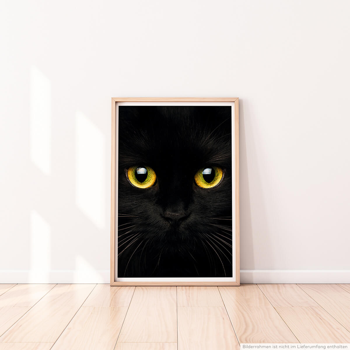 Tierfotografie  Schwarze Katze mit strahlend gelben Augen 60x90cm Poster 