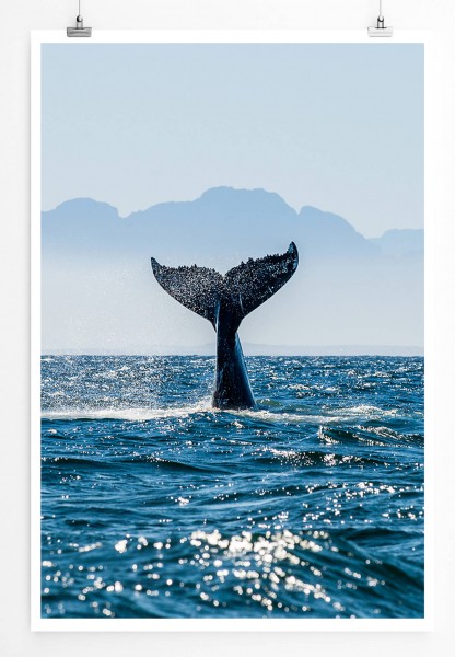 60x90cm Poster Naturfotografie  Flosse eines Buckelwals im Meer Südafrika