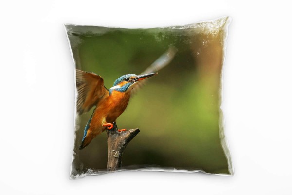 Tiere, Vogel, Eisvogel, orange, türkis, grün Deko Kissen 40x40cm für Couch Sofa Lounge Zierkissen