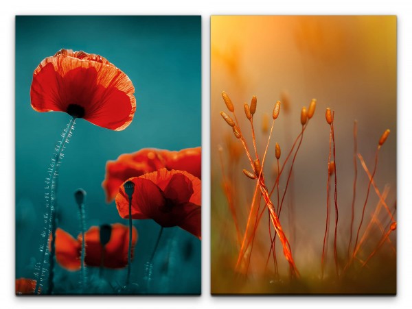 2 Bilder je 60x90cm Mohnblume rote Blume Wärme Sommer Dekorativ Fotokunst Kunstvoll