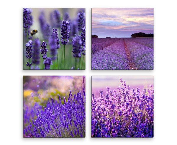 4 teiliges Leinwandbild je 30x30cm - Lavendelfeld Blumen Makroaufnahme Violett