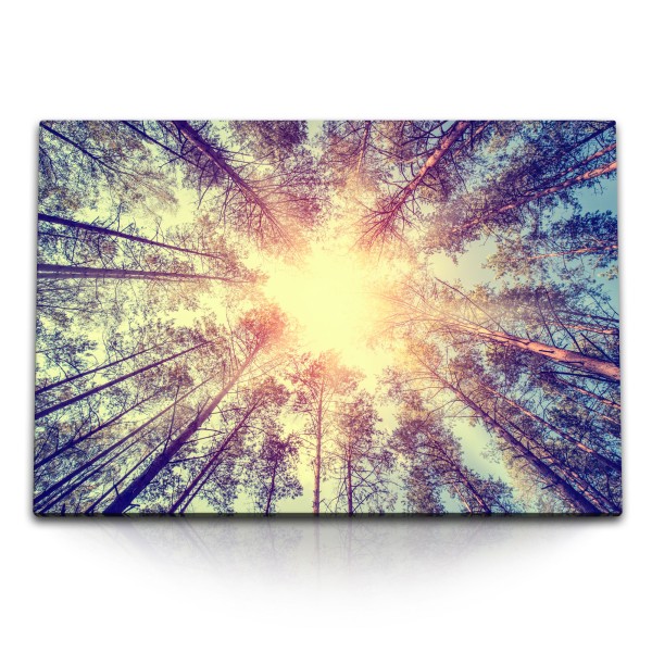 120x80cm Wandbild auf Leinwand Bäume Baumkronen Himmel Sonne Natur Herbst