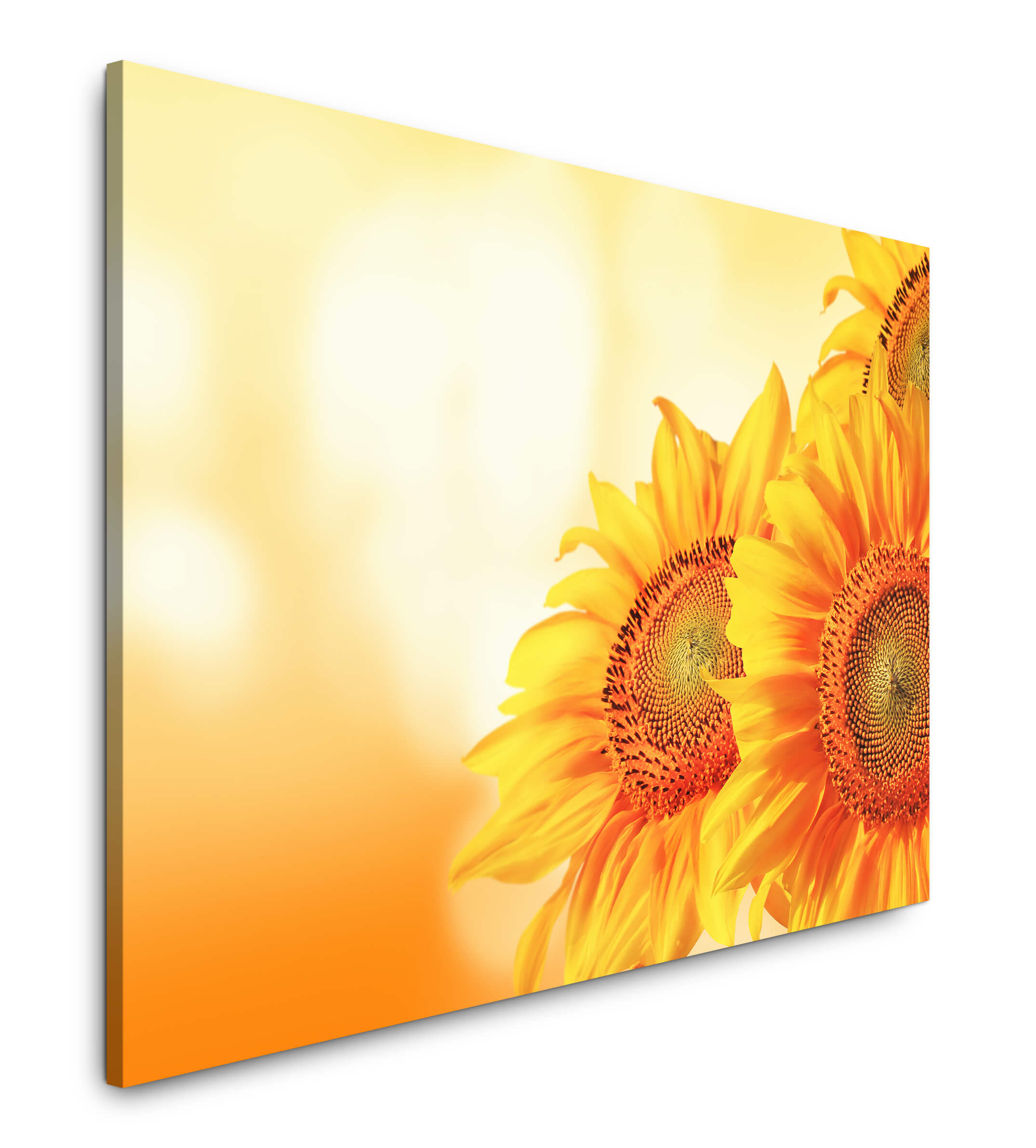 Bilder Sonnenblumen Fotoleinwand Poster Wandbilder DEKO  XXL 150 cm* 50 cm 507 