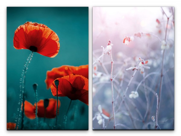 2 Bilder je 60x90cm Mohnblume Blumen Frost Zweige Naturaufnahme Dekorativ Makrofotografie