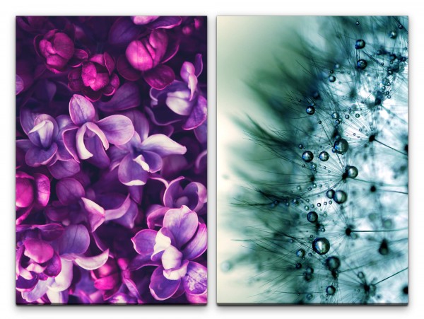 2 Bilder je 60x90cm Orchideen Blüten Pusteblume Dekorativ Sommer Sanft Zart