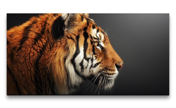 Leinwandbild 120x60cm Schöner Tiger Tierfotografie Wild Raubkatze Kraftvoll