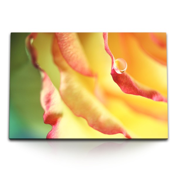 120x80cm Wandbild auf Leinwand Makrofotografie Wassertropfen gelbe Blüte Blume