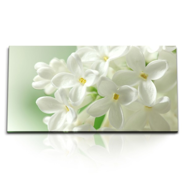 Kunstdruck Bilder 120x60cm Weiße Blüten Blumen Frühling Natur Hell