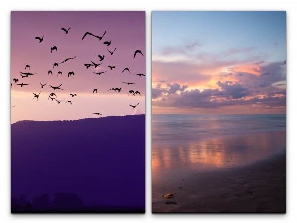 2 Bilder je 60x90cm Vogelschwarm Vögel Fliegen Berge Meer Strand rosa Wolken