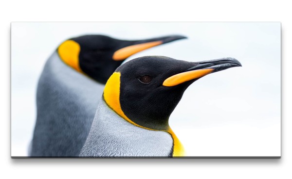 Leinwandbild 120x60cm Pinguine Kaiserpinguine Natur Schöne Tiere