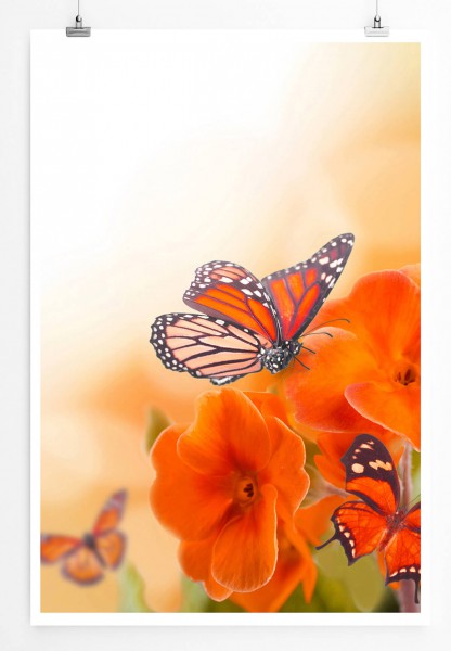 Naturfotografie 60x90cm Poster Rote Schmetterlinge und Blumen