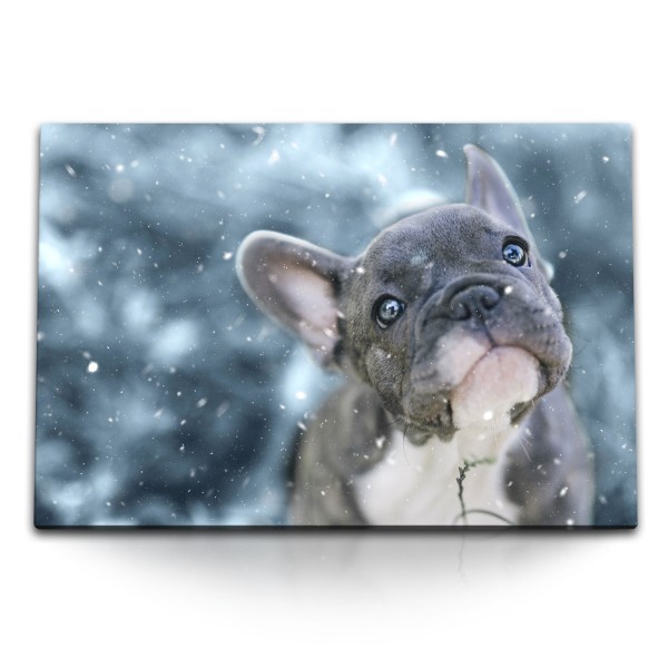 120x80cm Wandbild auf Leinwand Kleiner Hund Welpe Französische Bulldogge Schnee