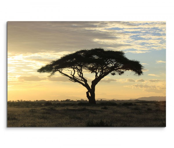 Leinwand Bilder xxl Afrika Savanne Sonnenuntergang Deko Wandbilder 030112-68 