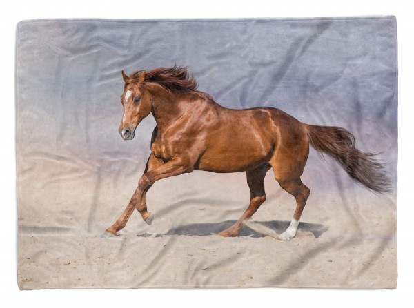 Handtuch Strandhandtuch Saunatuch Kuscheldecke mit Tiermotiv Pferd Kraftvoll Wi