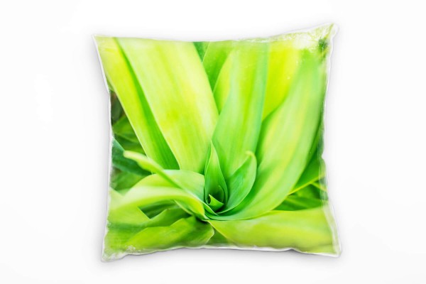 Macro, Pflanze, Blätter, grün Deko Kissen 40x40cm für Couch Sofa Lounge Zierkissen