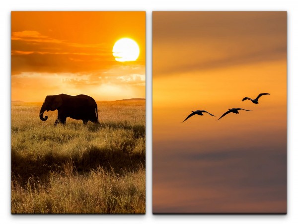 2 Bilder je 60x90cm Elefant Afrika Vögel Himmel Natur Sonne Idyllisch