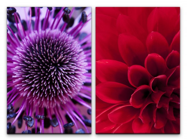 2 Bilder je 60x90cm Dahlie rote Blüte Blumen Nahaufnahme Violett Makrofotografie Fotokunst