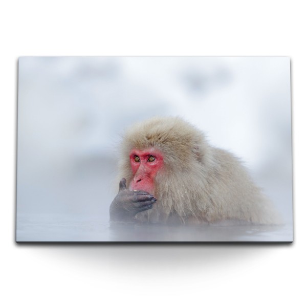 120x80cm Wandbild auf Leinwand Schneeaffe Japan heiße Quelle Wasser Affe