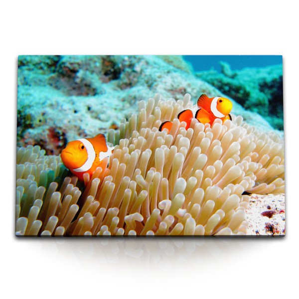 120x80cm Wandbild auf Leinwand Korallenriff Clownfisch unter Wasser bunte Fische