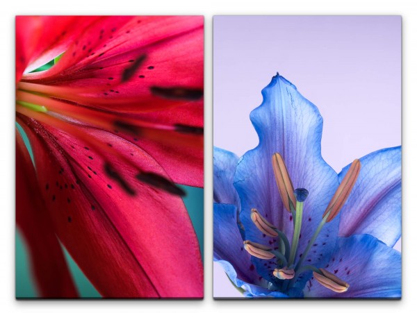 2 Bilder je 60x90cm Lilien Blumen rote Blüte blaue Blüte Sommer Dekorativ Makrofotografie