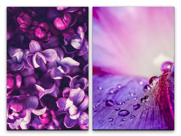 2 Bilder je 60x90cm Orchideen Regentropfen Blüte Farbenfroh Violett Sommer Makrofotografie