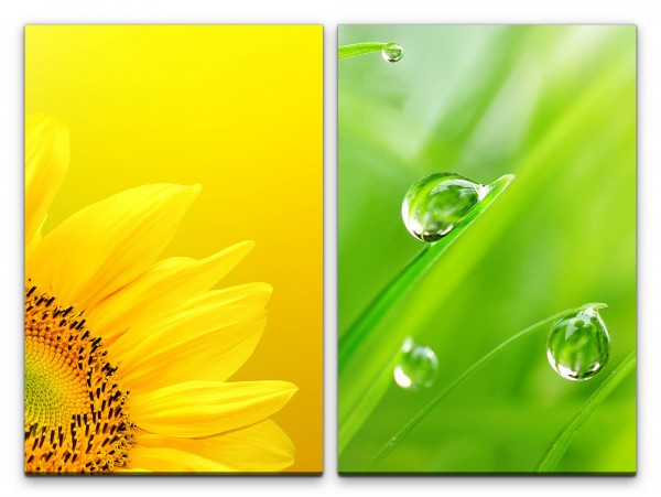 2 Bilder je 60x90cm Sonnenblume Gelb Tropfen Wiese Gras Grün Makro