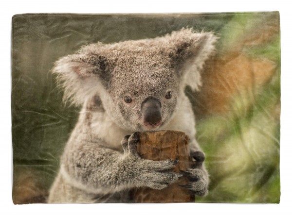 Handtuch Strandhandtuch Saunatuch Kuscheldecke mit Tiermotiv Koalabär Koala Aus