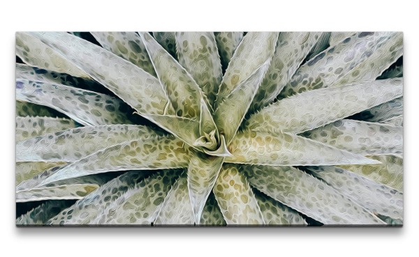 Leinwandbild 120x60cm Aloe Vera Kunstvoll Dekorativ Pflanze Schön