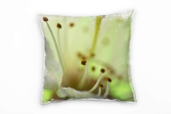 Macro, Blumen, Kirschblüte, weiß, grün Deko Kissen 40x40cm für Couch Sofa Lounge Zierkissen