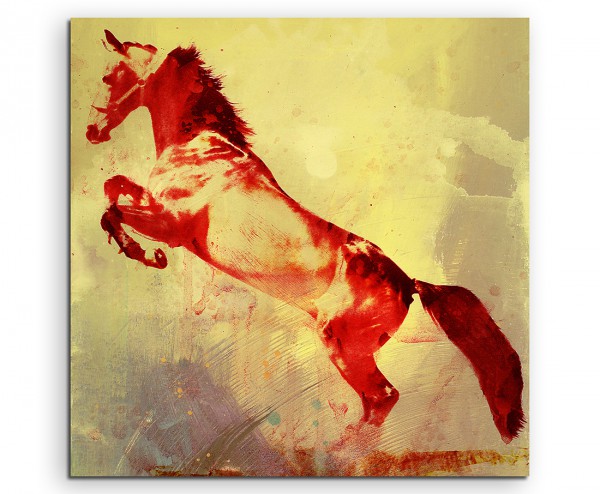 Horse on Hind Legs 60x60cm Aquarell Art Leinwandbild