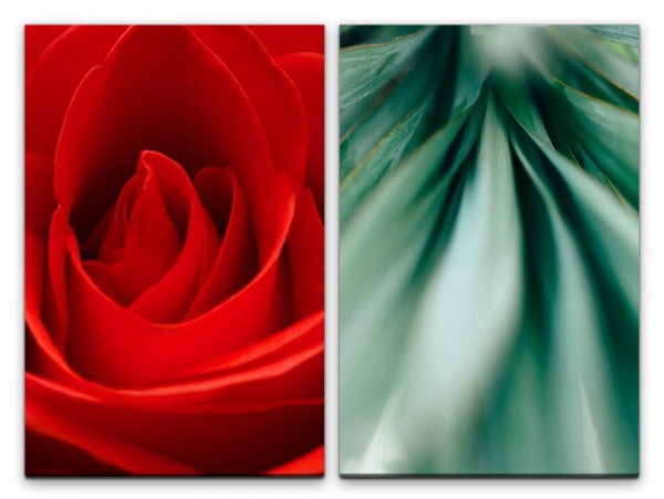 2 Bilder je 60x90cm Rose Blüte Rot Grün Dekorativ Liebe Makrofotografie