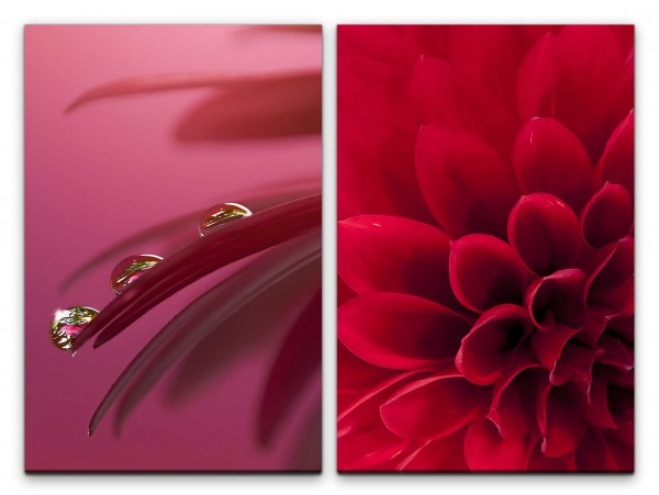 2 Bilder je 60x90cm Dahlie rote Blumen Wasserperlen Warm Rot Romantisch Schlafzimmer