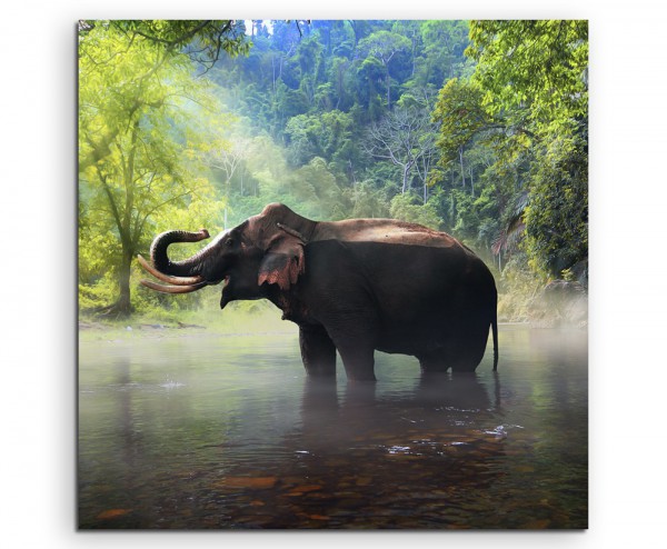 Tierfotografie – Elefant, Kanchanaburi Provinz, Thailand auf Leinwand