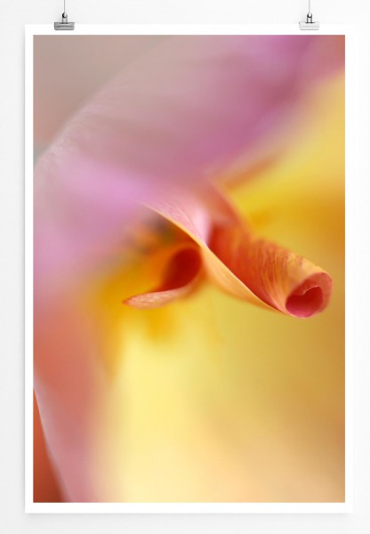 60x90cm Poster Naturfotografie  Orangerote Blütenblätter