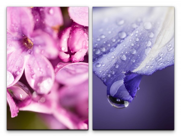 2 Bilder je 60x90cm Blumen Wassertropfen Tropfen Blüten Rosa Violett Makrofotografie