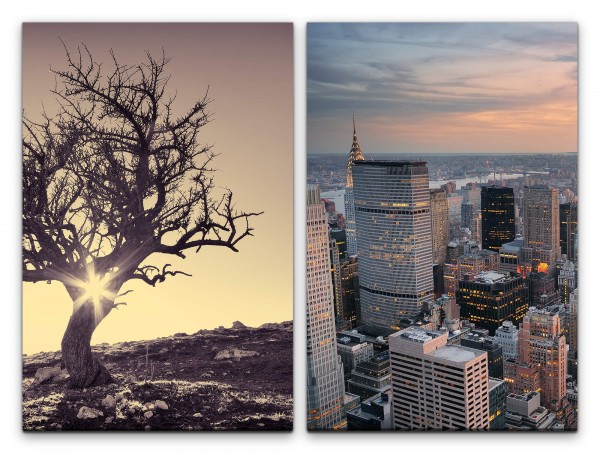 2 Bilder je 60x90cm einsamer Baum New York Wolkenkratzer Manhattan Abendröte Skyline Metropole