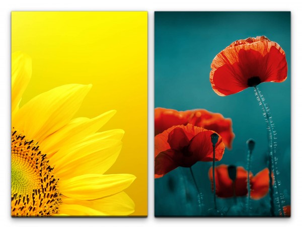 2 Bilder je 60x90cm Sonnenblume Gelb Rot Mohnblume Blumen Sommer Frühling