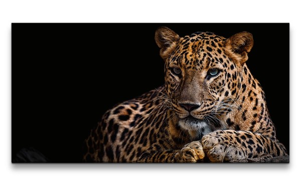 Leinwandbild 120x60cm Jaguar Raubkatze schönes Tier Katze Wild Dschungel