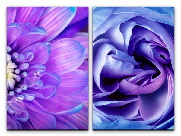 2 Bilder je 60x90cm Zinnie Rose Blumen Blüten Violett Dekorativ Feminin