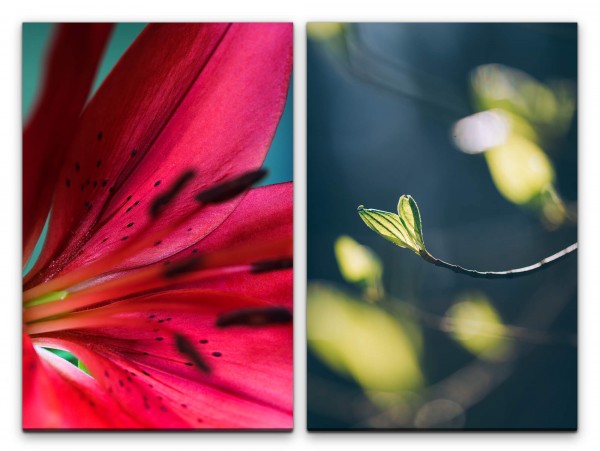 2 Bilder je 60x90cm Blume rote Blüte Pflanze Frühling Frisch warmes Licht positive Energie