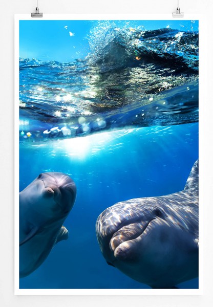 60x90cm Tierfotografie Poster Zwei Delfine unter dem Meeresspiegel
