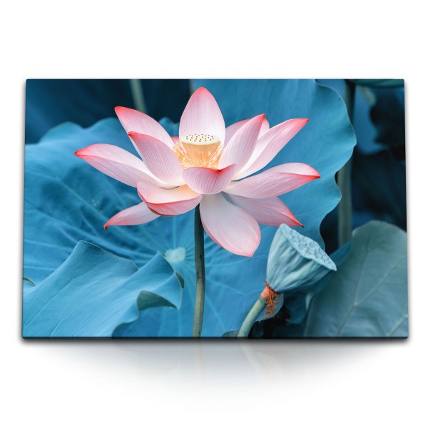 120x80cm Wandbild auf Leinwand Lotus Lotusblüte Blume Rosa Wasserblume
