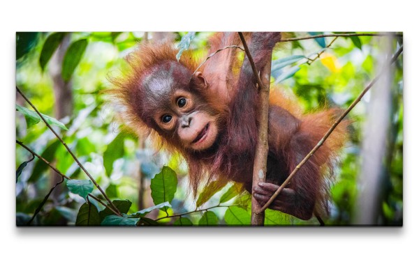 Leinwandbild 120x60cm Kleiner Orang-Utan Baby im Baum Süß Niedlich Lieblich