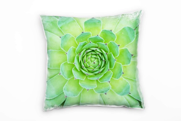 Macro, Kaktus, grün Deko Kissen 40x40cm für Couch Sofa Lounge Zierkissen