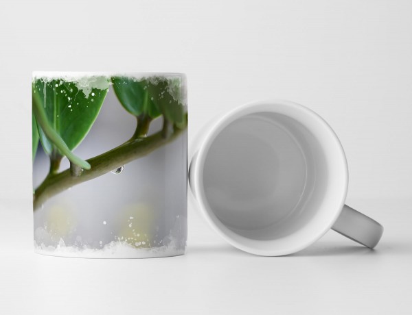 Tasse Geschenk Zimmerpflanze – Detailaufnahme