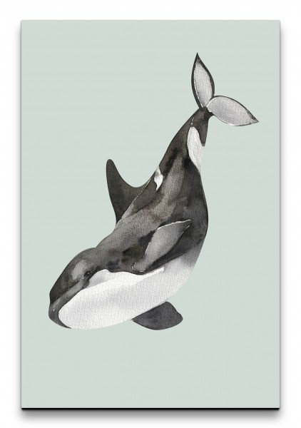 Orca Schwertwal Schwarz Weiß Schlicht Wasserfarben Dekorativ