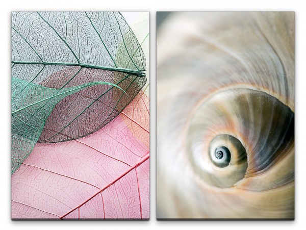 2 Bilder je 60x90cm Schneckenhaus Spirale weiße Blätter Blattstruktur Sanft Zart Beruhigend