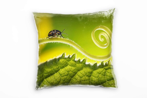 Macro, Tiere, Käfer, Blatt, grün Deko Kissen 40x40cm für Couch Sofa Lounge Zierkissen